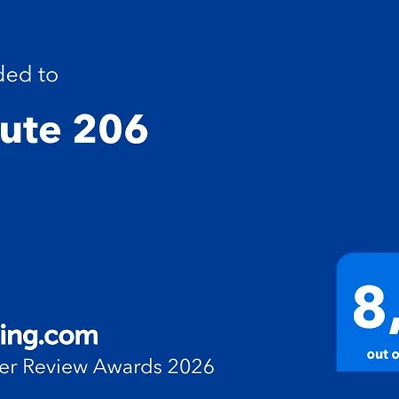 Salute 206